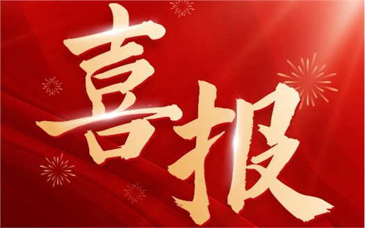 集团荣膺2025中国民营企业500强第249位，制造业民营企业500强第177位，排名较去年双双大幅提升